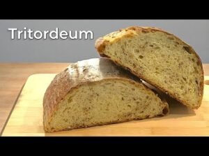 Así se hace pan tritordeum malteado | Receta completa